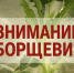 Внимание-борщевик! - Администрация Инжавинского района